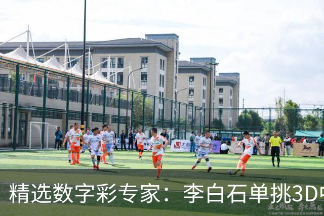 精选数字彩专家：李白石单挑3D中直选 连续6期中奖